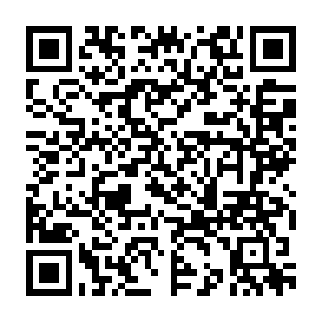 TikTok QR Code